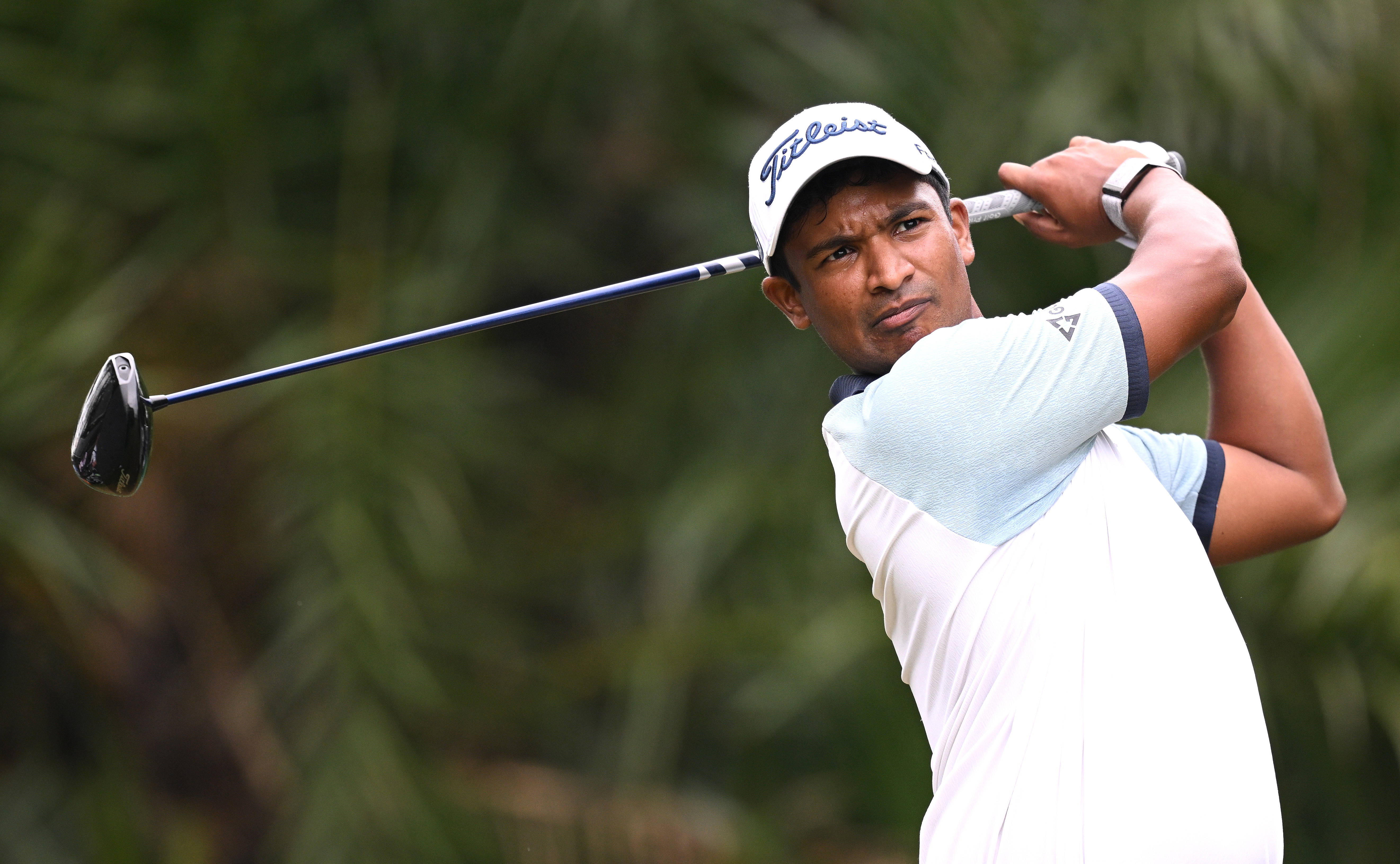 海南主场大胜，球员状态火热的简单介绍