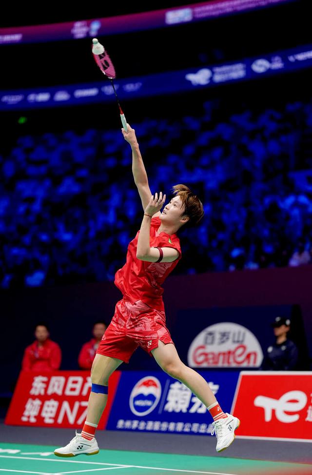 日本队逆转马来西亚队，陈雨菲扛起全队的简单介绍