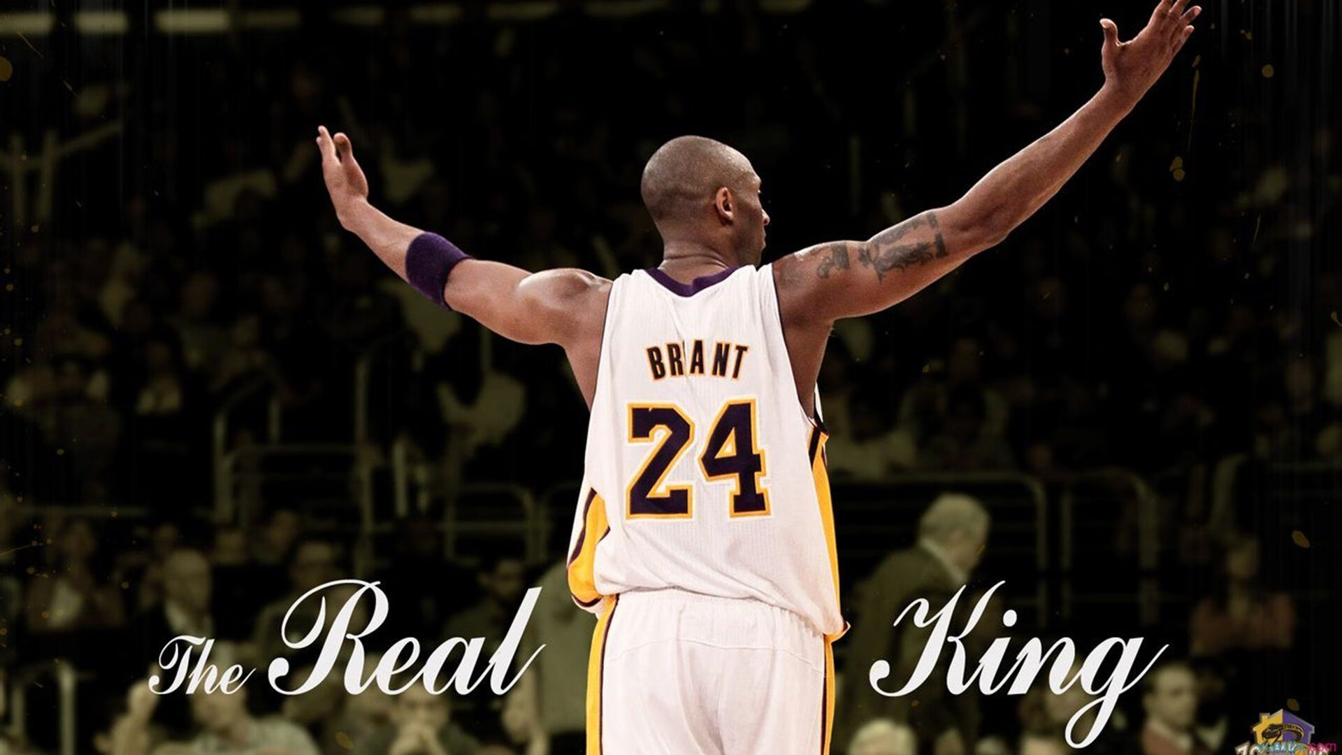 乔治一剑封喉，灰熊铁壁封锁下，快船如何撕开拓者防线？