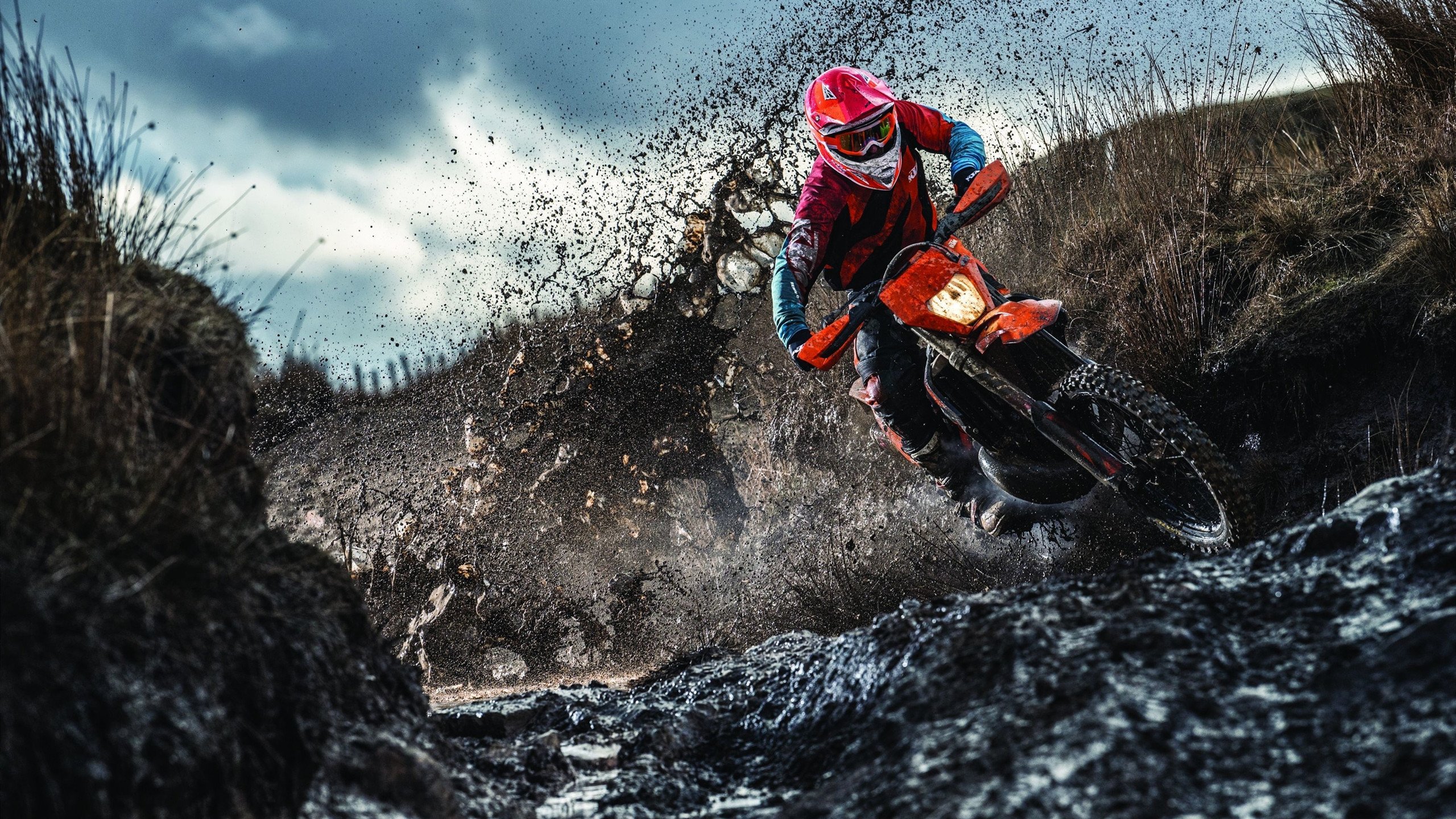 东方铁骑收割雄鹿，西方独角兽德甲称王—体育世界的平行传奇